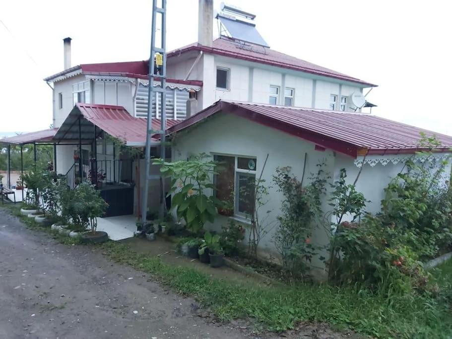 Sakin Köy Evi Kaçamağı photo 4