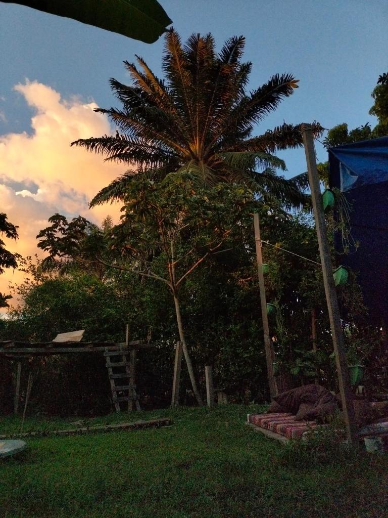 Nomada Hostel photo 1