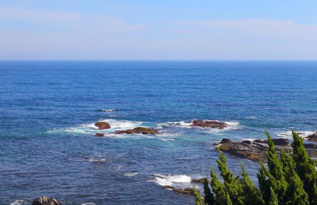 鴨川温泉　璃庵 photo 3