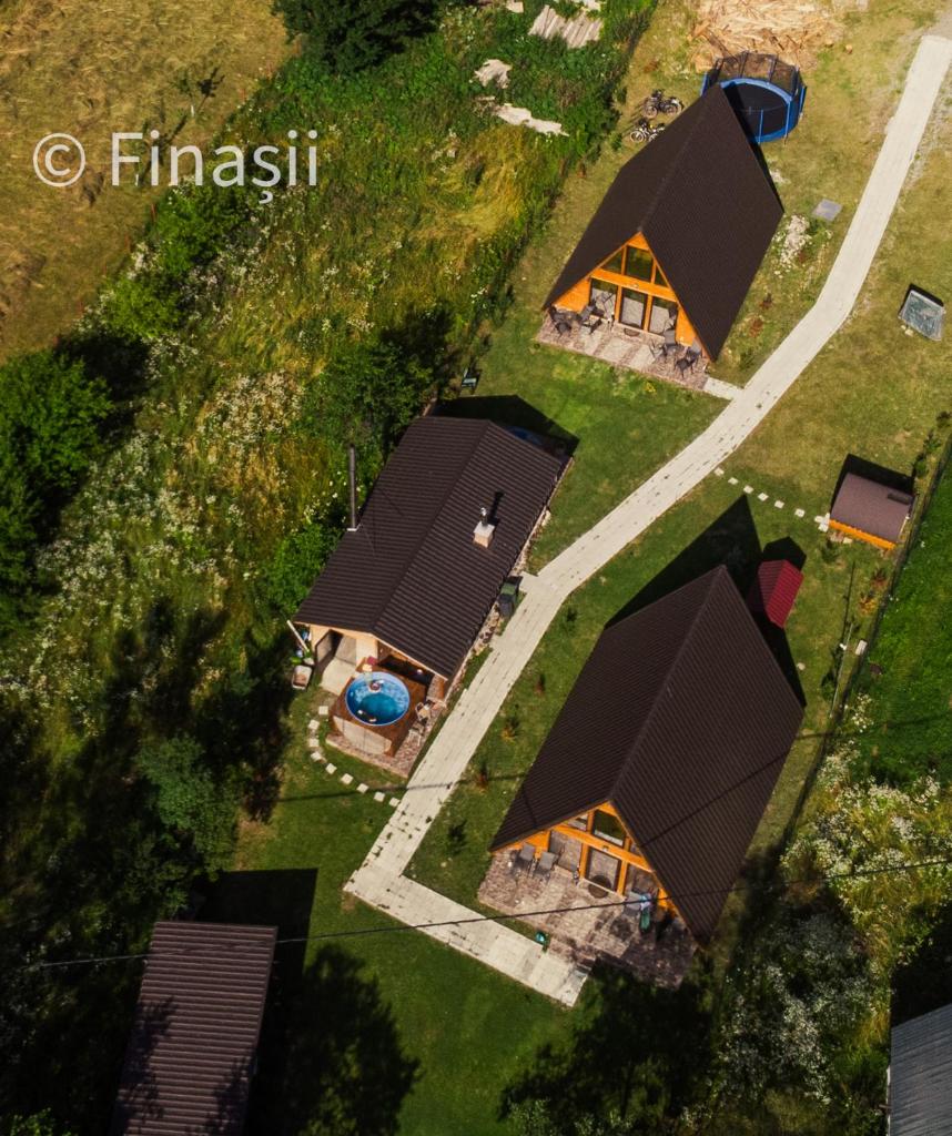 Finașii photo 1
