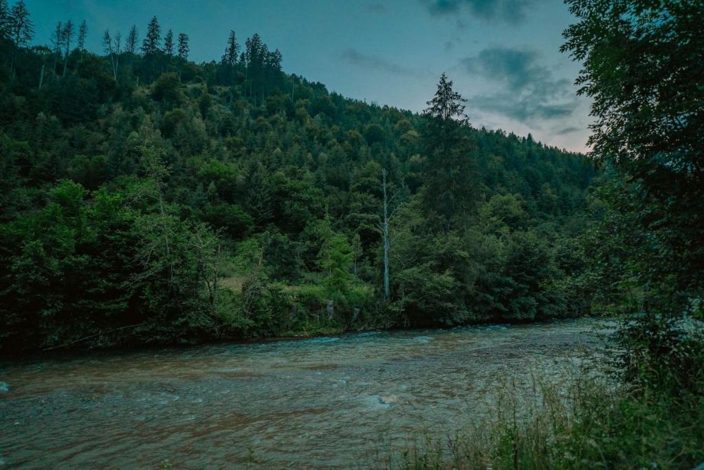 Finașii photo 4