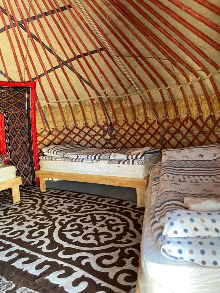 Yurt camp Sonun photo 1