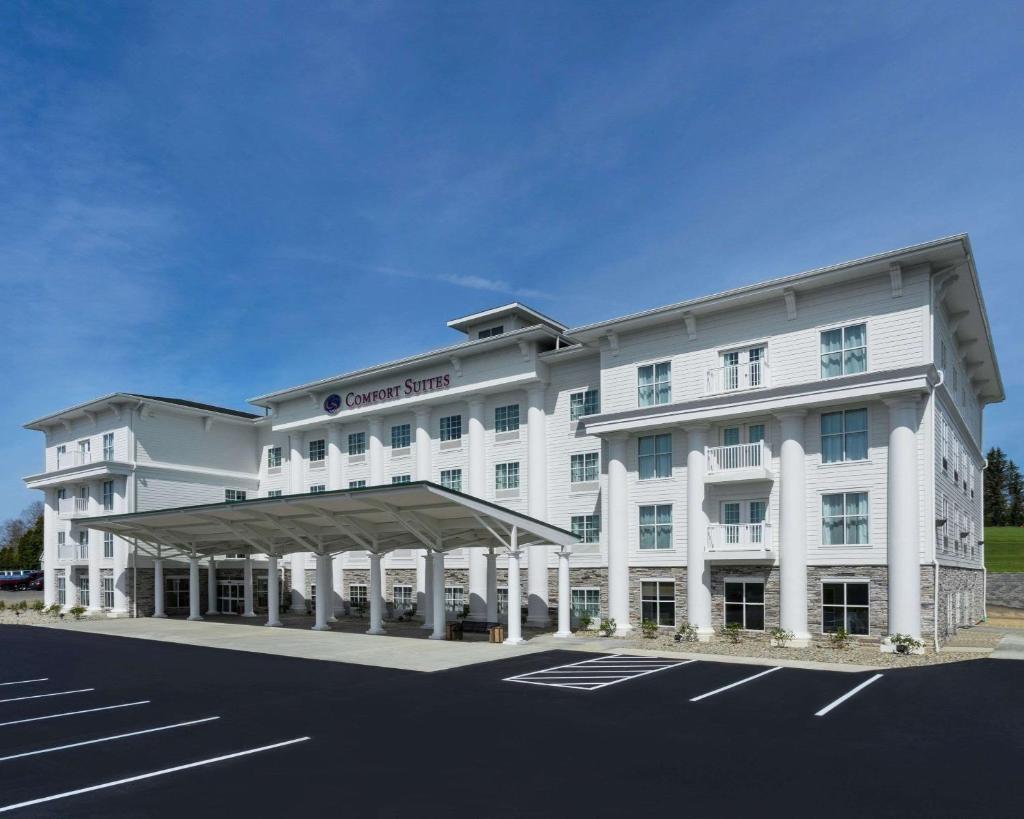 Comfort Suites image