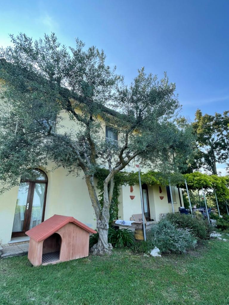 B&B Il Melograno photo 1