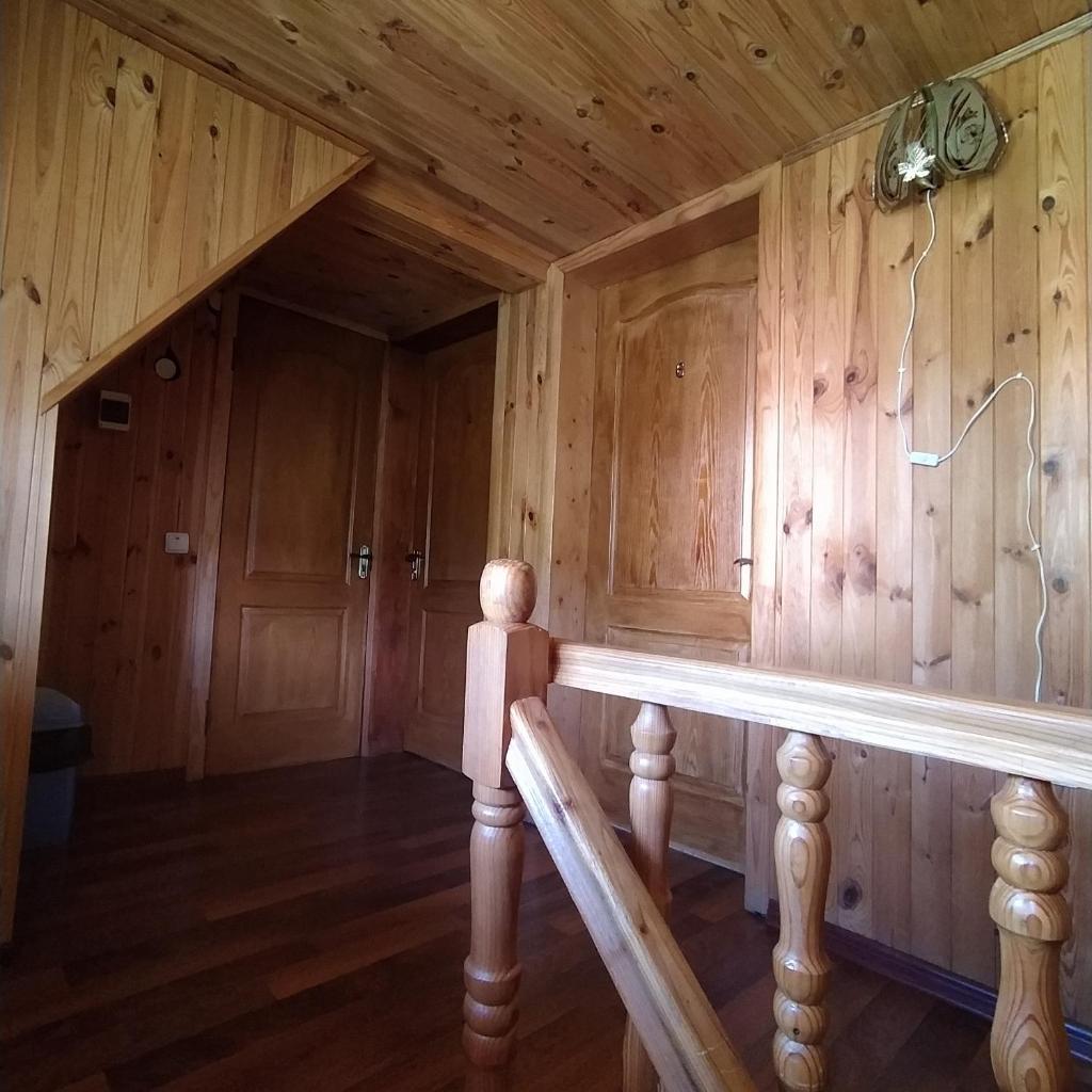 Мальва photo 2