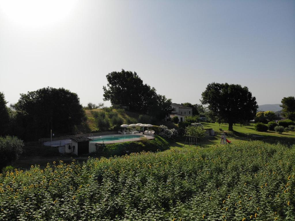 I Magnoni photo 2
