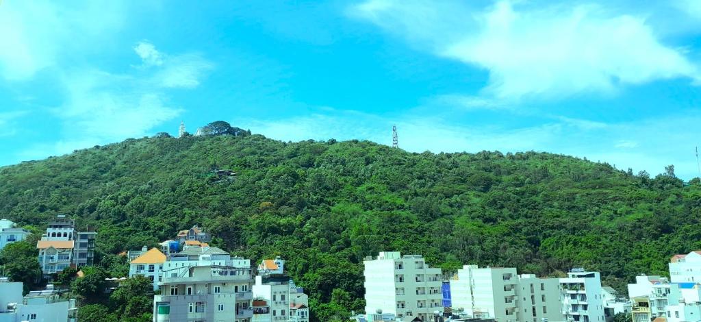 Love Hotel & Apartments