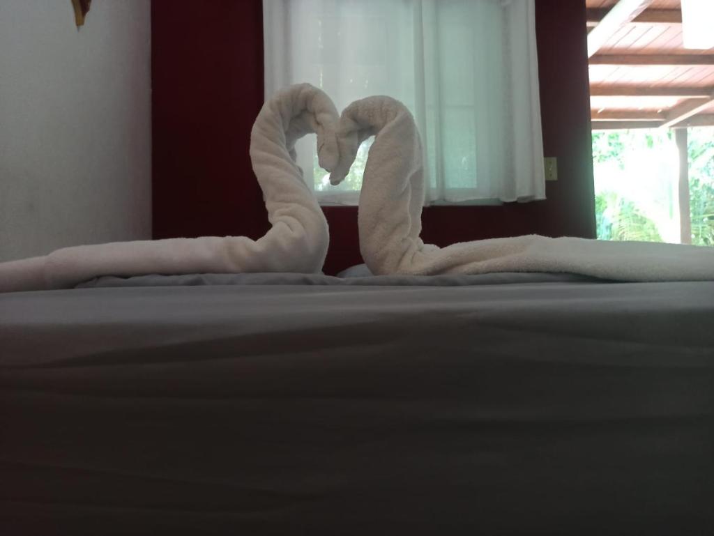 Hostel Wunderbar photo 2