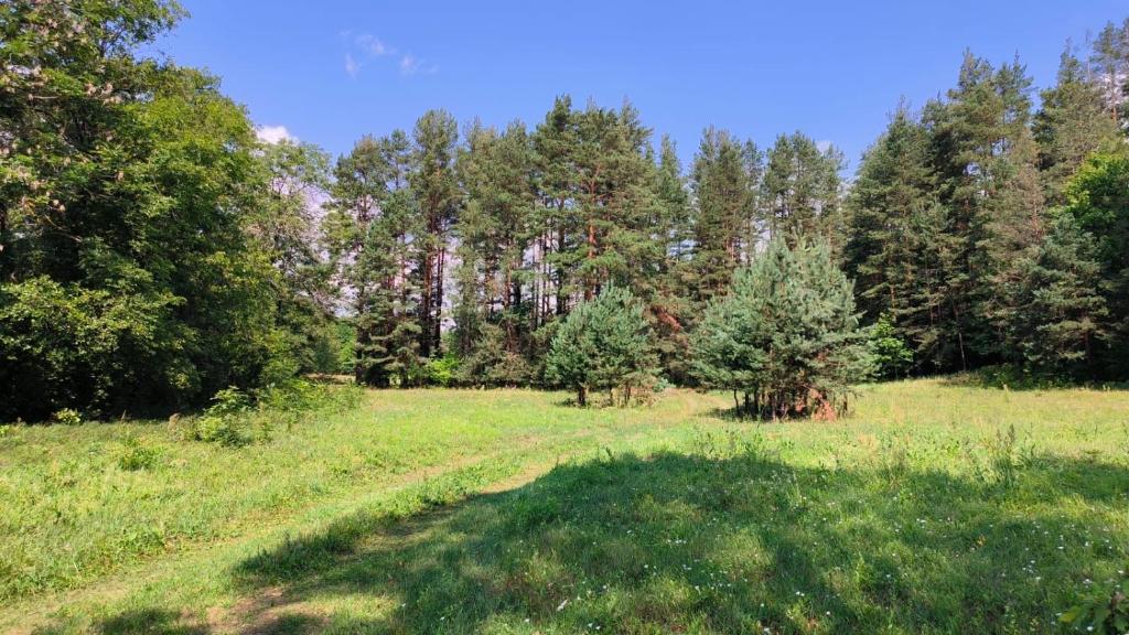 Lakefront Log House and Sauna photo 3