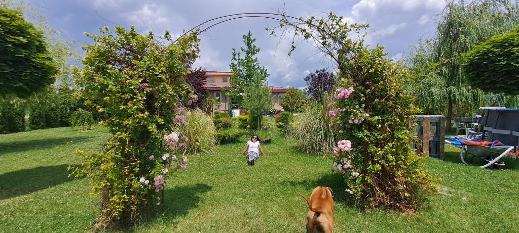 Green Villa Rodna photo 2
