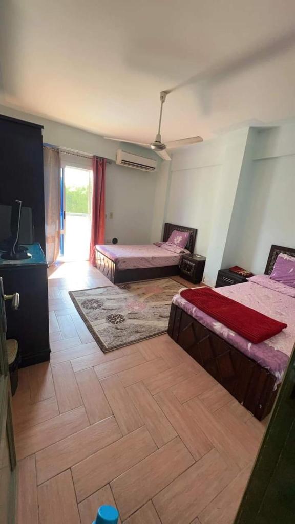 Cheerful villa with pool in Alexandria (El agami) photo 4