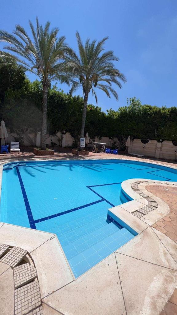 Cheerful villa with pool in Alexandria (El agami) photo 3