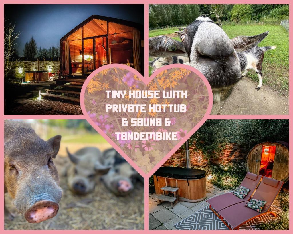 Bed & Wellness Klein Knorrestein with 2 romantic sustainable tiny house, use private hottub, sauna, tandembike included in price, just 30 minutes from Amsterdam photo 2