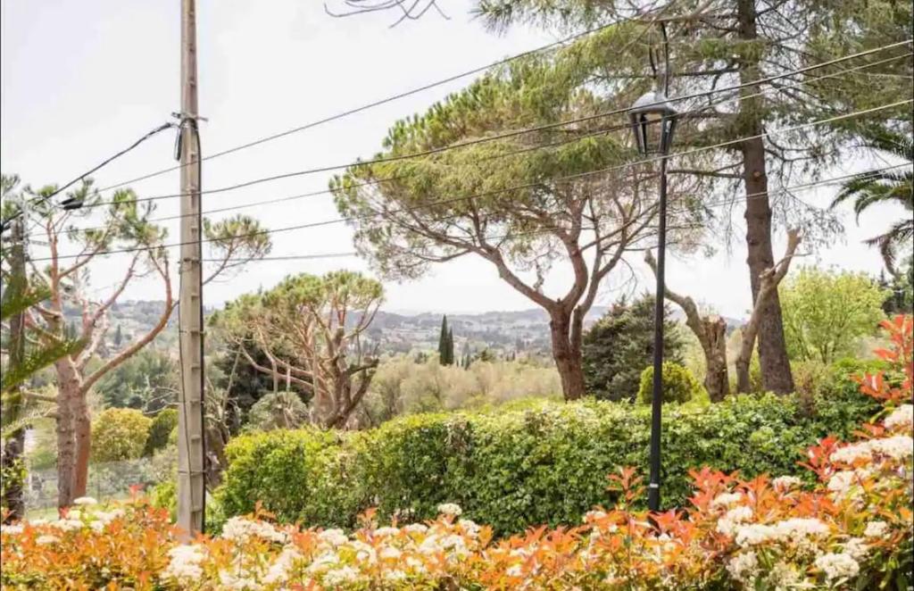 Bastide Magdaleyna Mougins photo 4