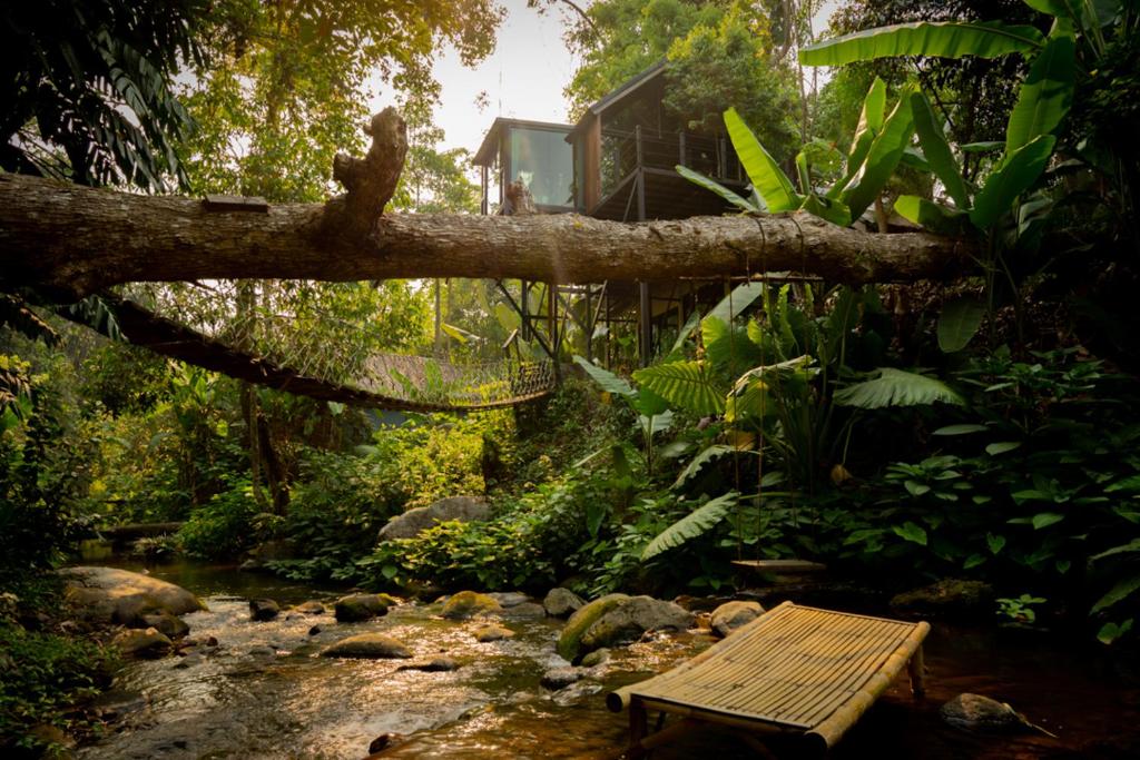 Wilderness Treehouse photo 1