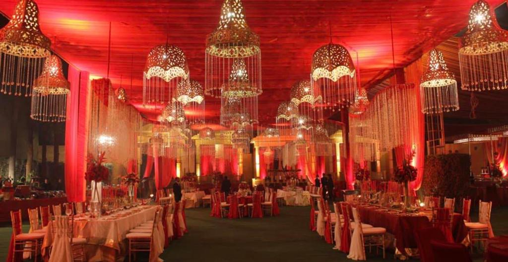 Q Palace photo 4