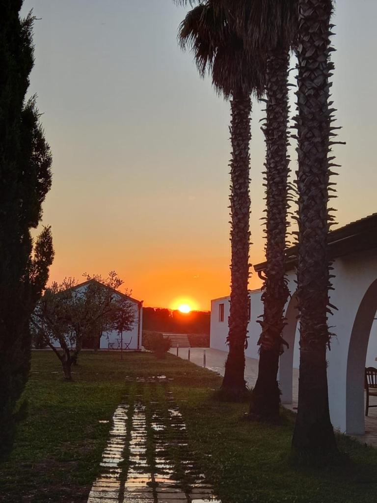 Masseria Crocco photo 3
