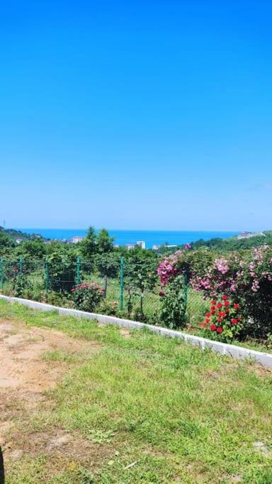 Denize 3km Daire - Piraziz Giresun photo 3