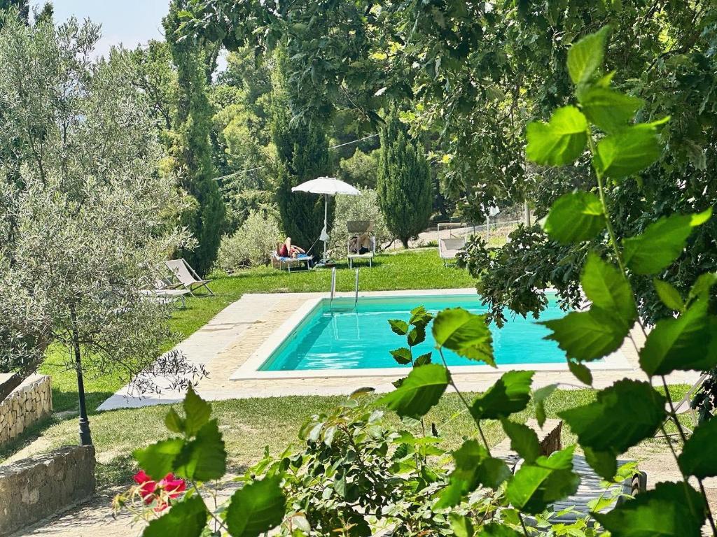 Terrematte turismo e natura photo 1