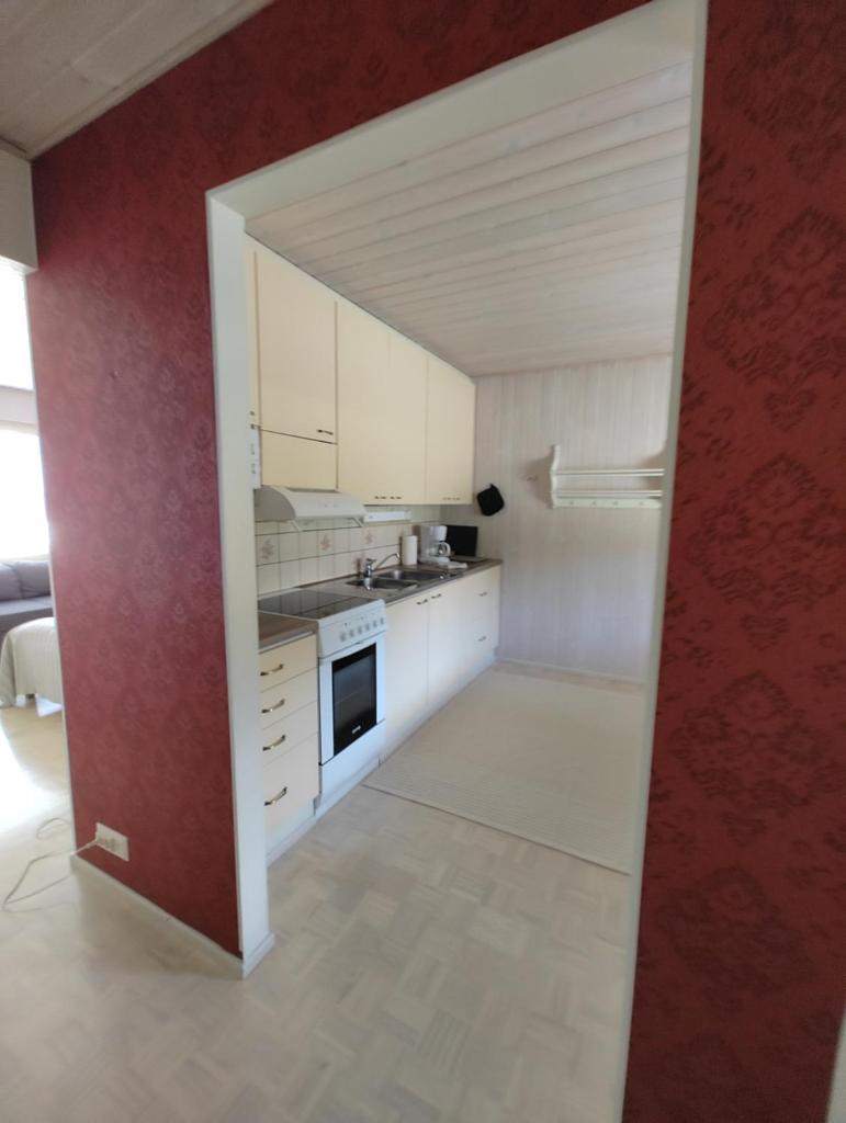 New studio near amenities in Varpaisjärvi photo 4