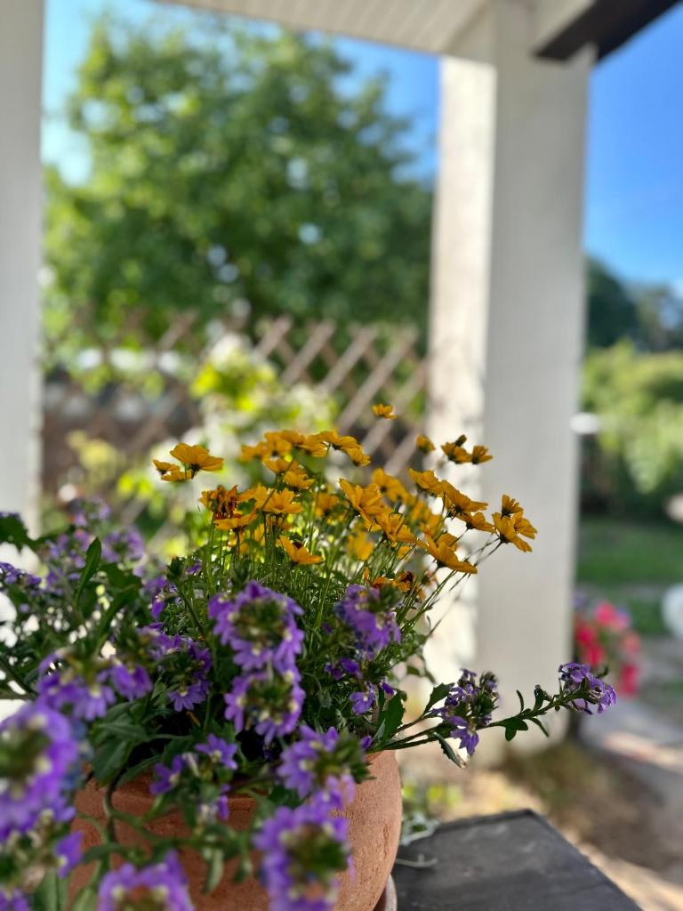 Guest house Saulkrasti photo 1