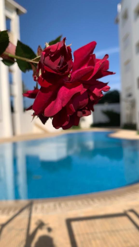 petit studio mignon pour passer les vacance a Marina Golf