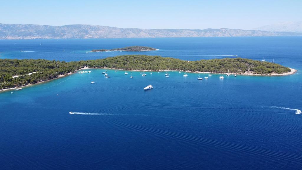 Stone Villa Hvar Ana and Nikola Beachfront photo 4
