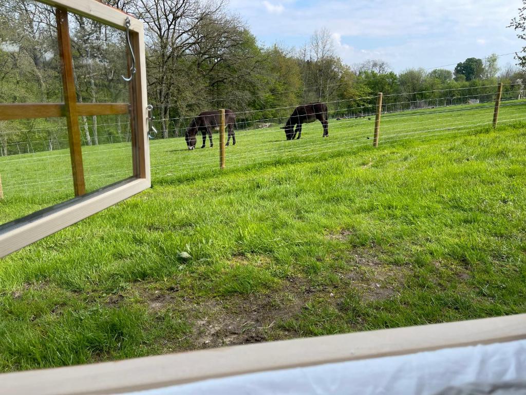 Le Hameau photo 3