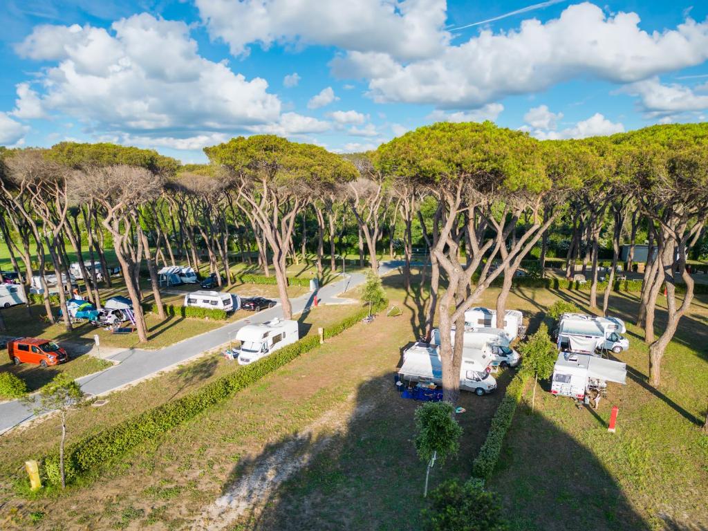 Camping Village Roma Capitol photo 4