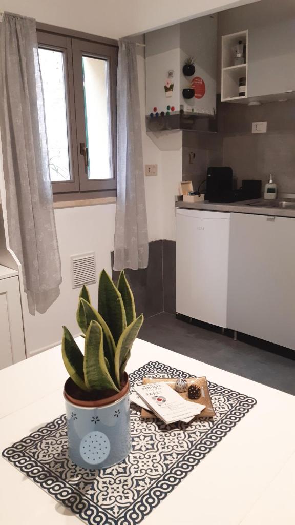 Mosaic apartment photo 2