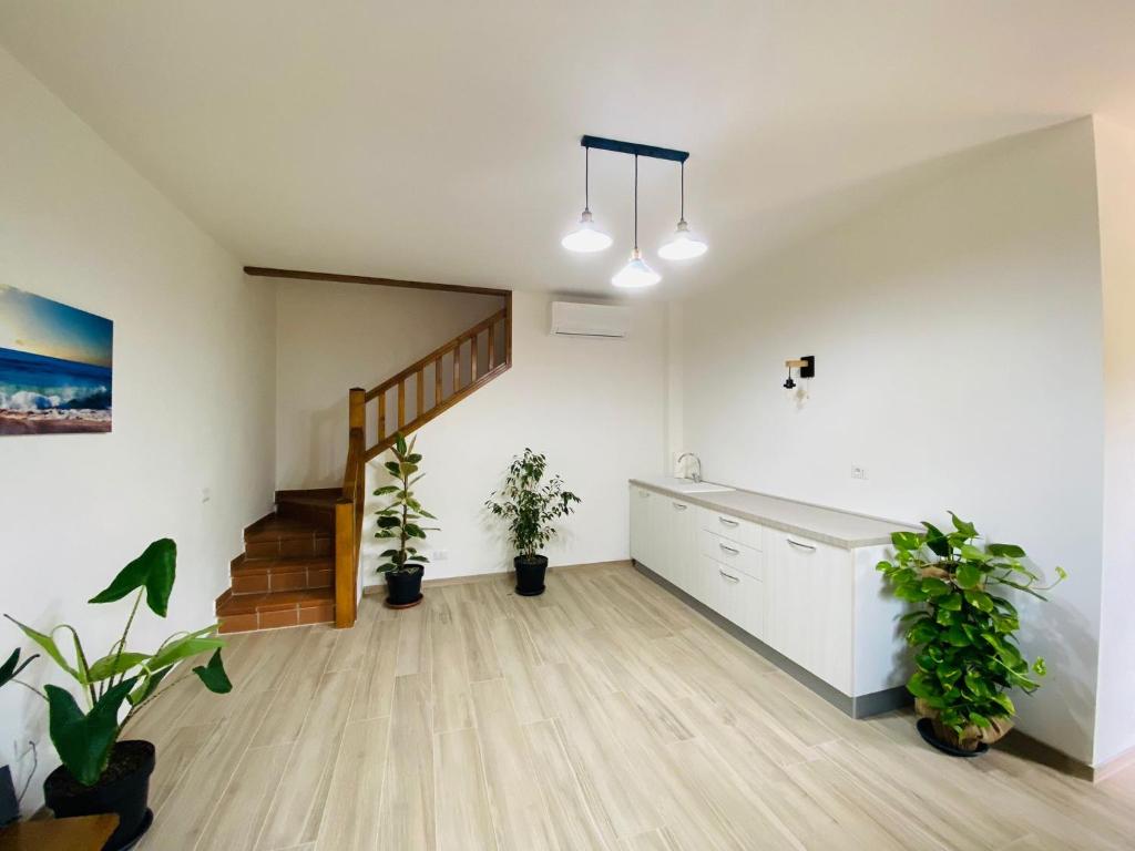 Guest House Tramontana 19 photo 2