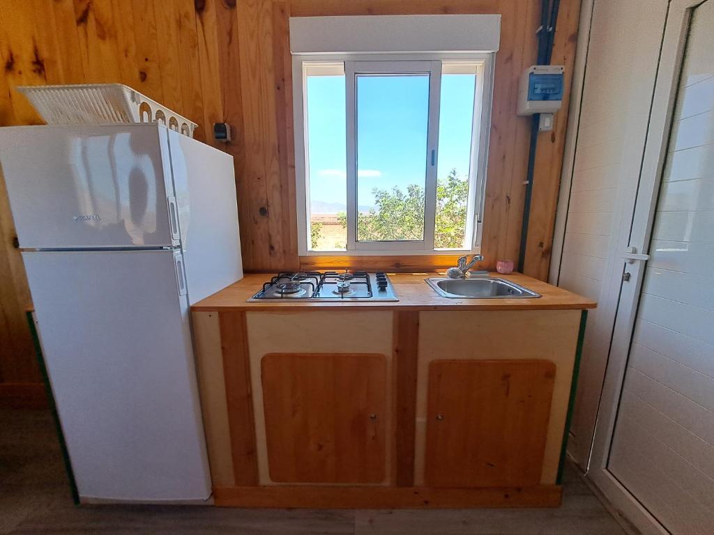 Tiny house camión fijo en Islas Canarias photo 4