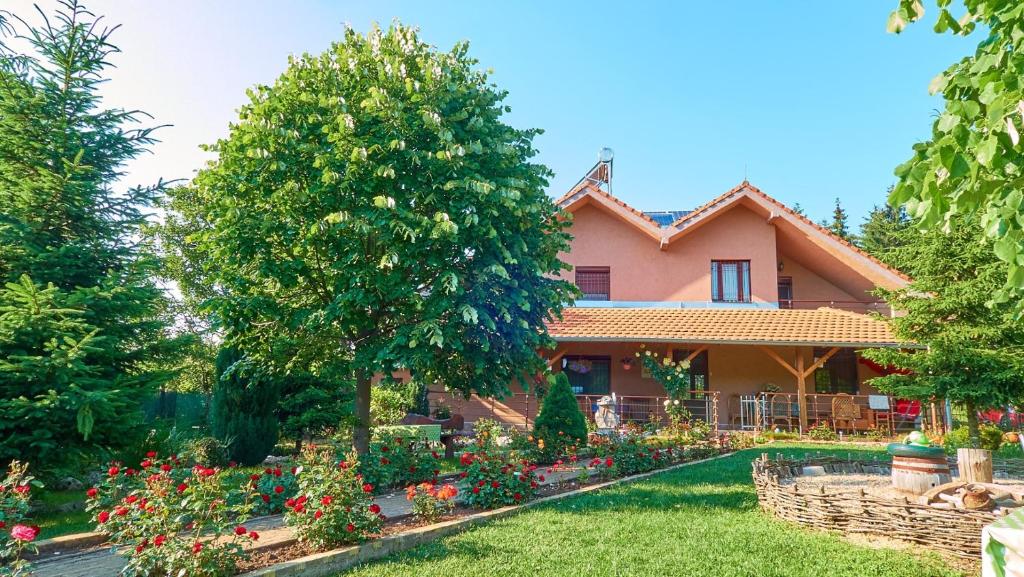Vila Raj, planina Ozren - Sokobanja