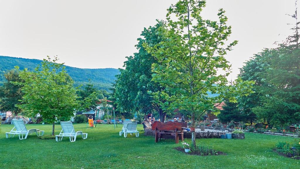 Vila Raj, planina Ozren - Sokobanja photo 3