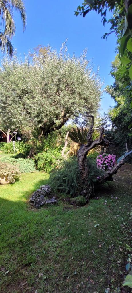 Villa Lidia photo 3