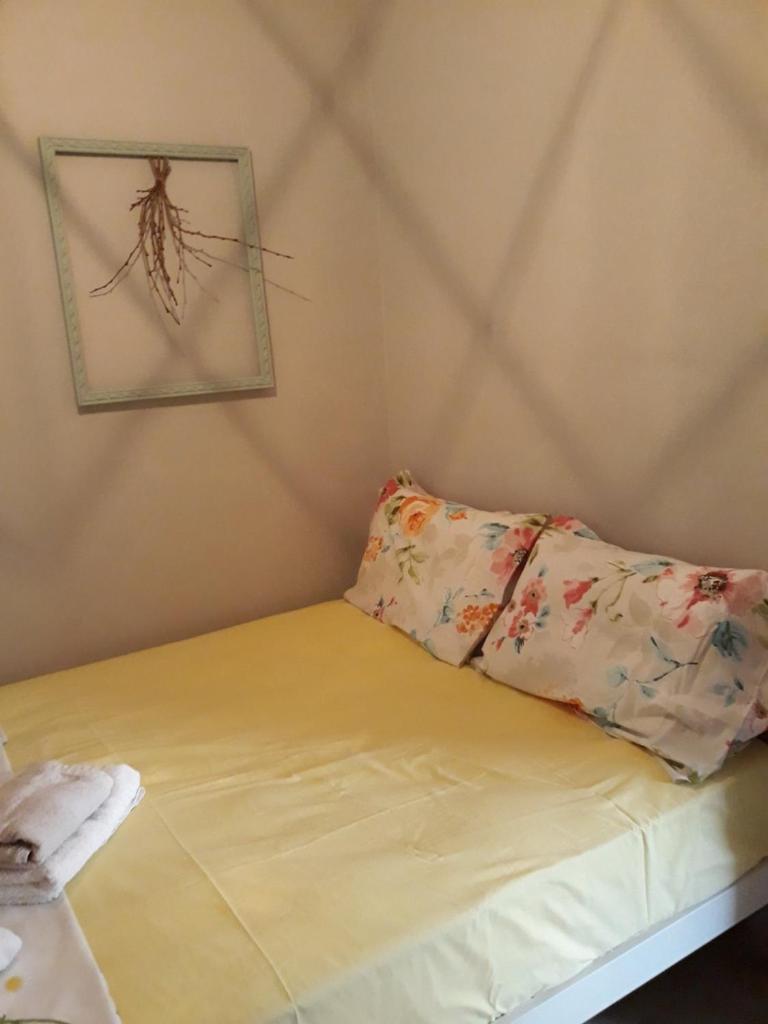 Xronis 1 photo 1