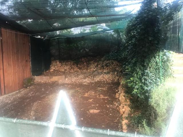Camp-Gradiste photo 2