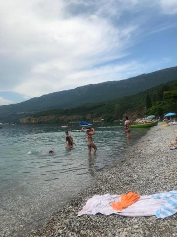 Camp-Gradiste photo 4