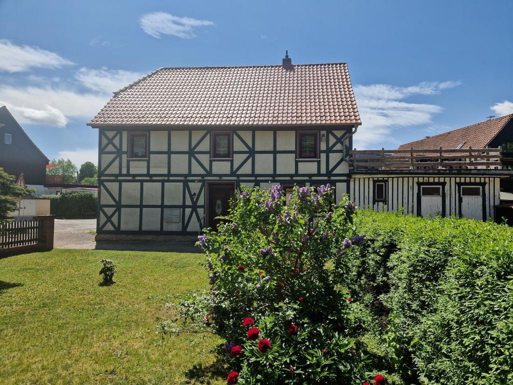 Ferienwohnung Waldblick photo 4