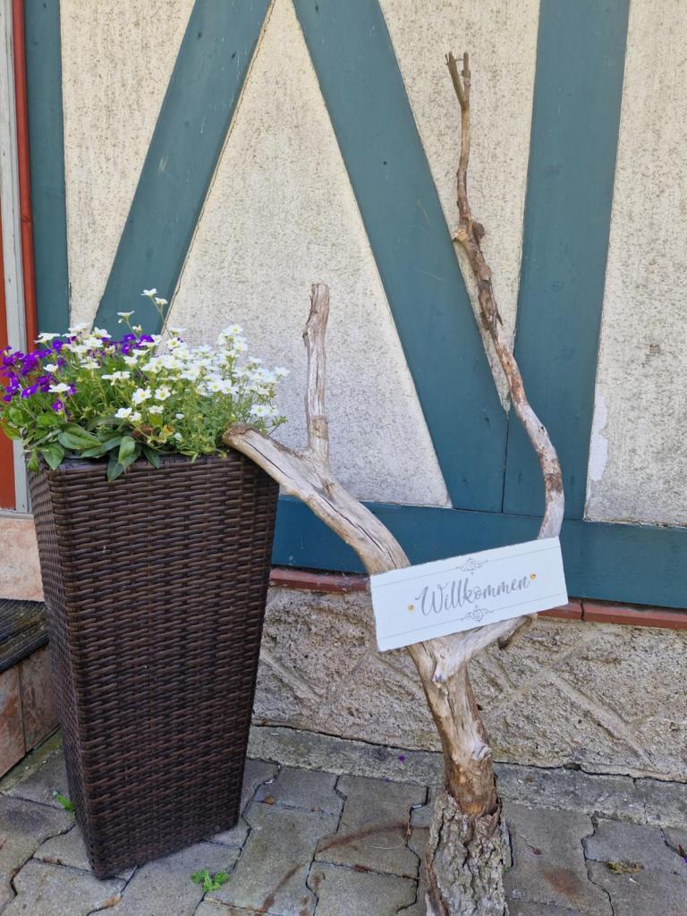 Ferienwohnung Waldblick photo 2