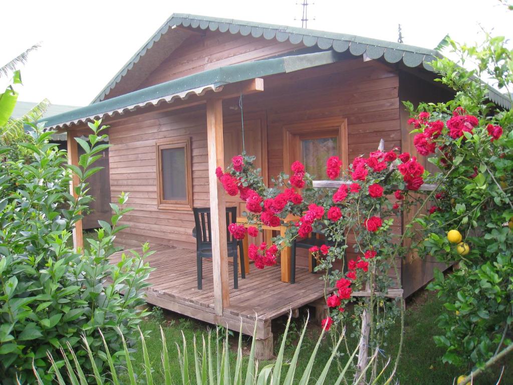 Cirali Armira Bungalow, Antalya