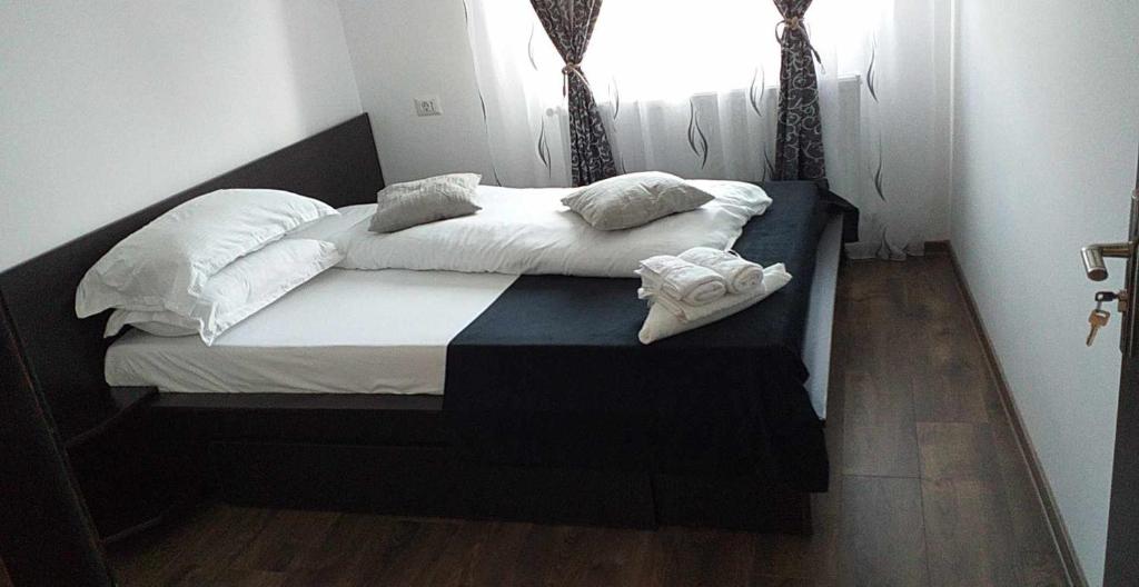 Casa Atelier Transfăgărășan photo 1