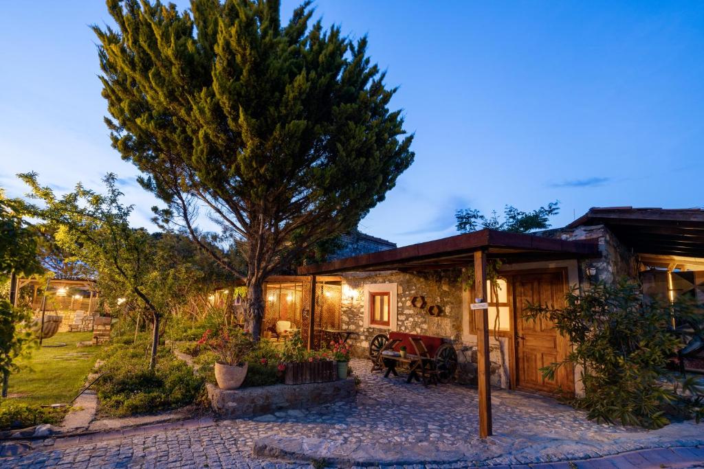 Aral Tatil Ciftligi photo 1