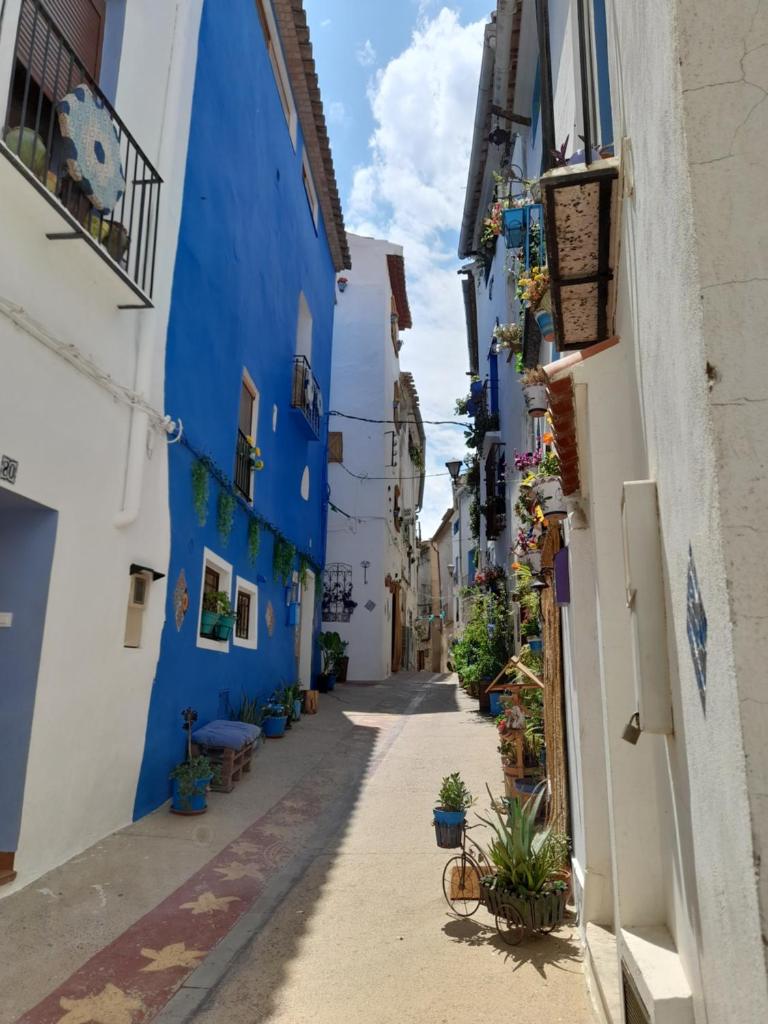 LA CASA AZUL photo 4