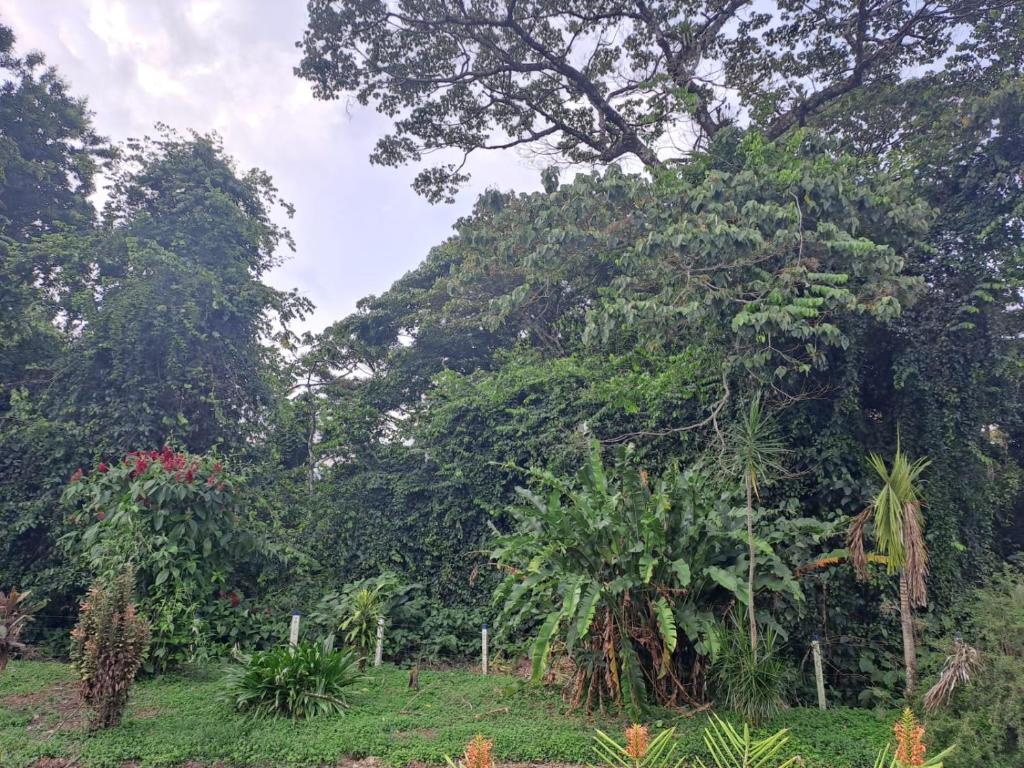 Casa Tucano photo 1