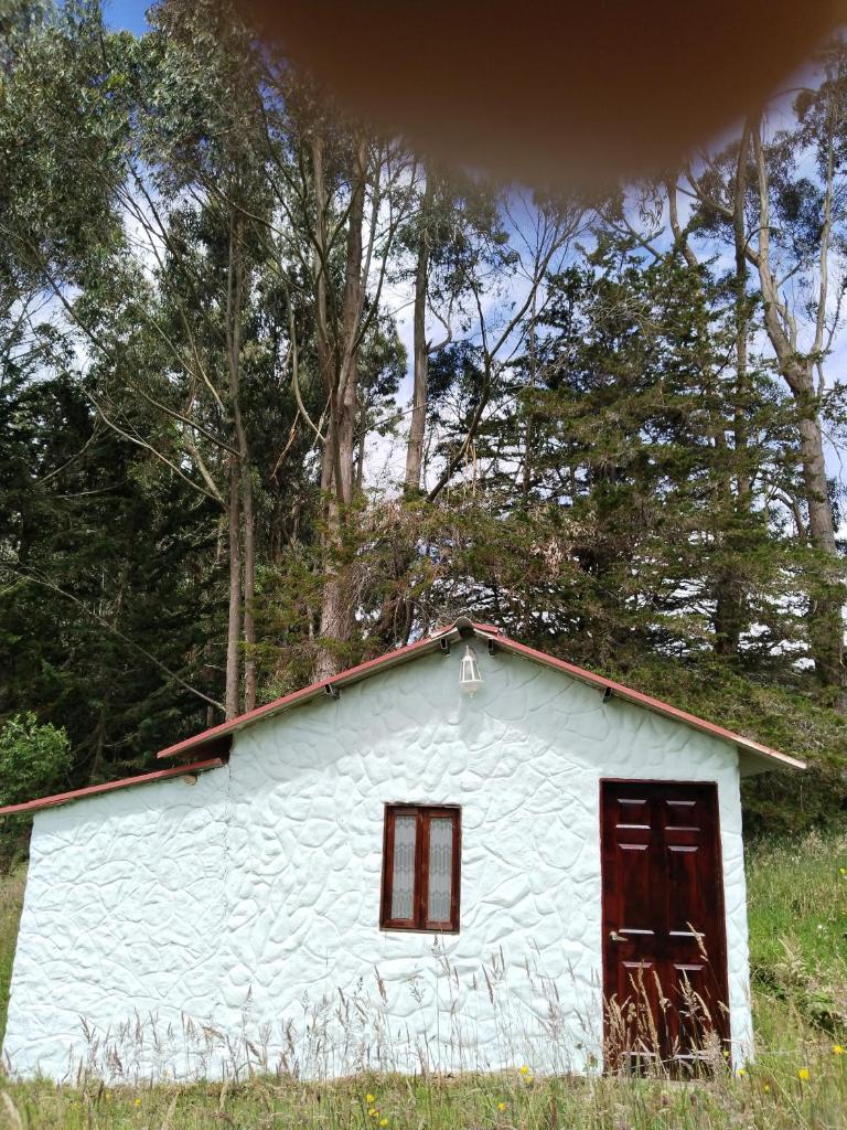 Casa Enverdes