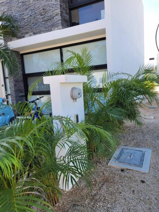 Casa Downtown photo 2
