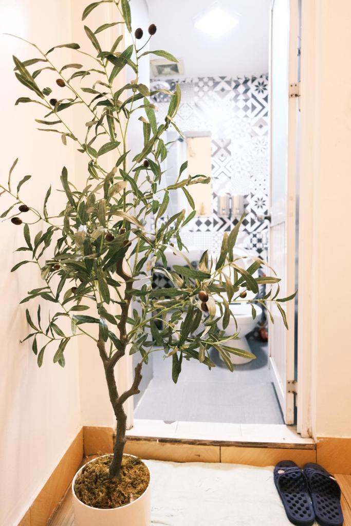 Hanoi All Nations Homestay