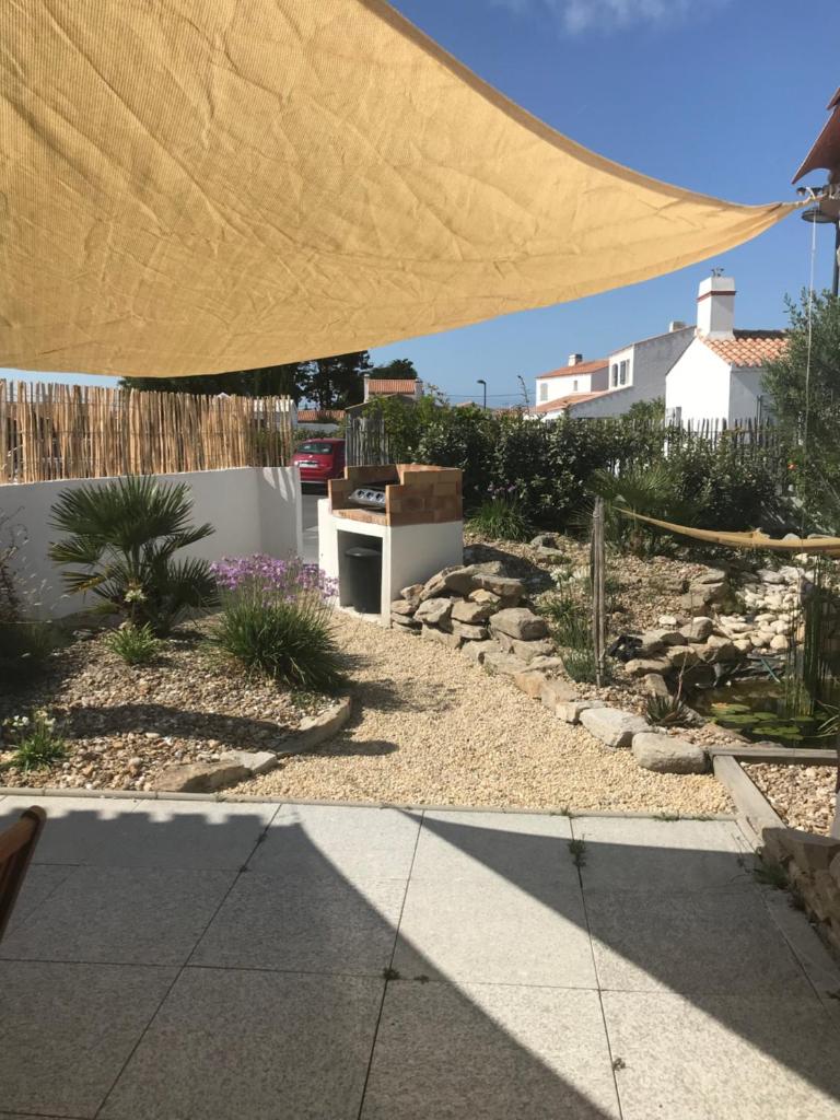 Les Agapanthes photo 3