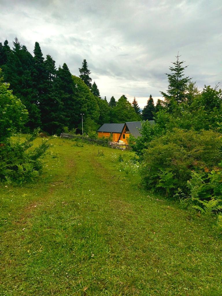 Cottage Mebirashi photo 1